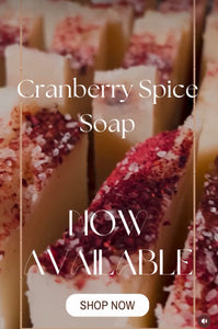 Cranberry Spice Soap